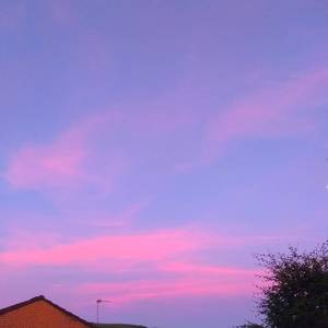 bbw欧美性HD在线
